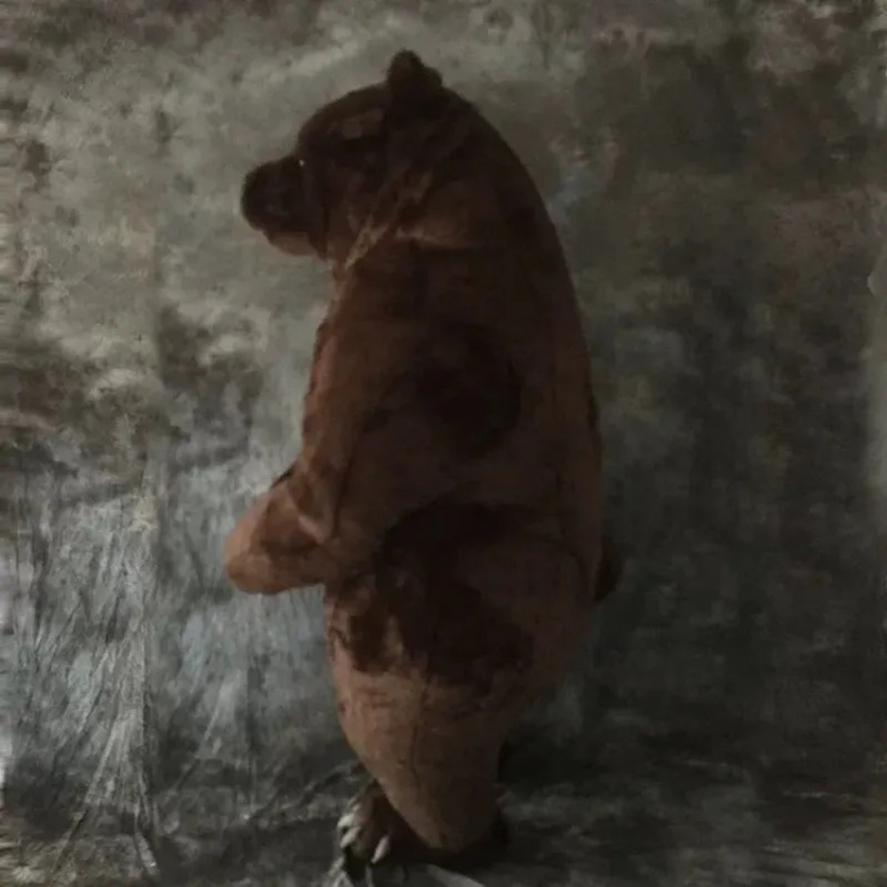Costume da mascotte a forma di - Costumes recensione e prezzo